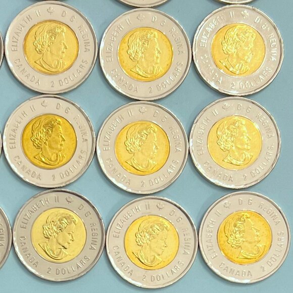 Canada 2018 Coloured 100th Anniversary Armistice 1918-2018 Roll of 25 x $2 Coins - Picture 11 of 16
